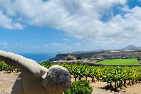 Farm hus i Moya, Gran Canaria, Moya - € 4.950.000 | Ref: 20473 - foto 14